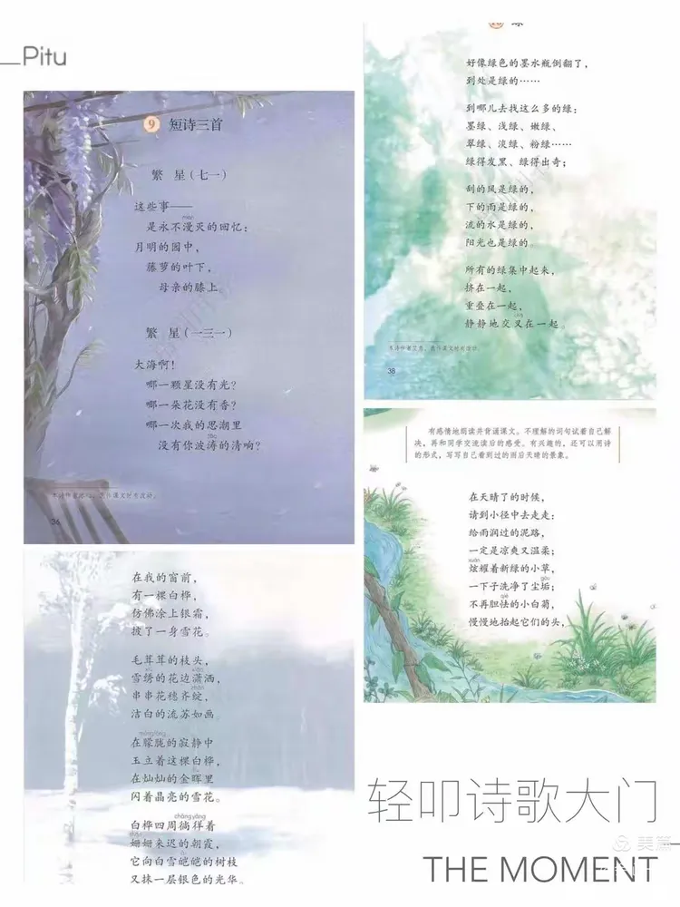 轻叩诗歌大门,漫步诗歌百花园